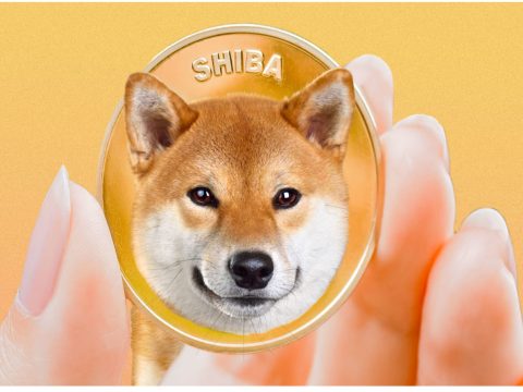 Ismét emelkedik a Shiba Inu