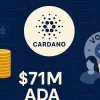 A Cardano közösség jóváhagyta a 71 millió dolláros fejlesztési javaslatot